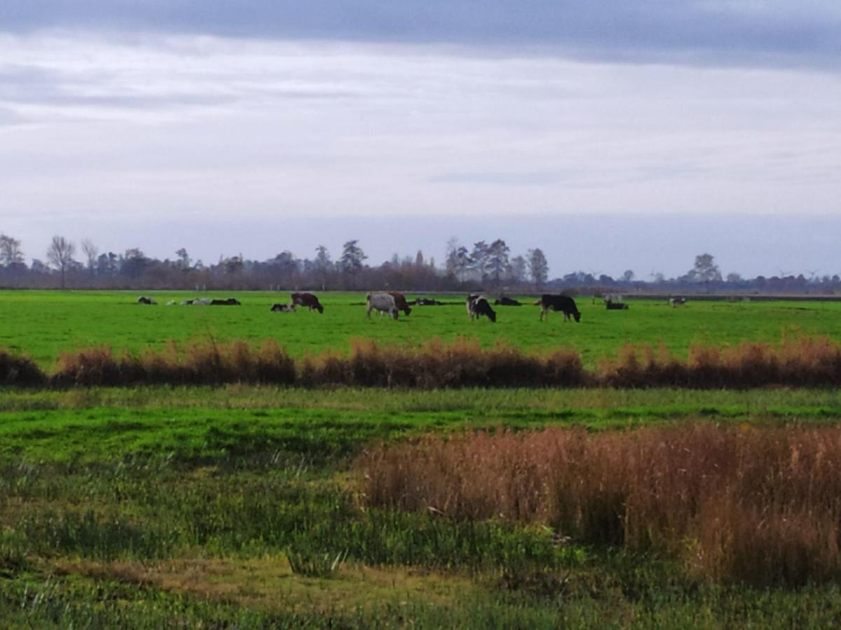 Vakantiehuis Boer Theun Bed and Breakfast Delfstrahuizen Buitenkant foto